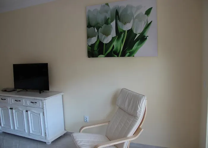 Apartamento Karchevi *